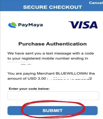 Bluewillow Payment Confirmation