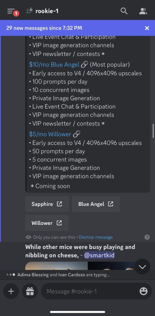 Bluewillow Subscription Plan