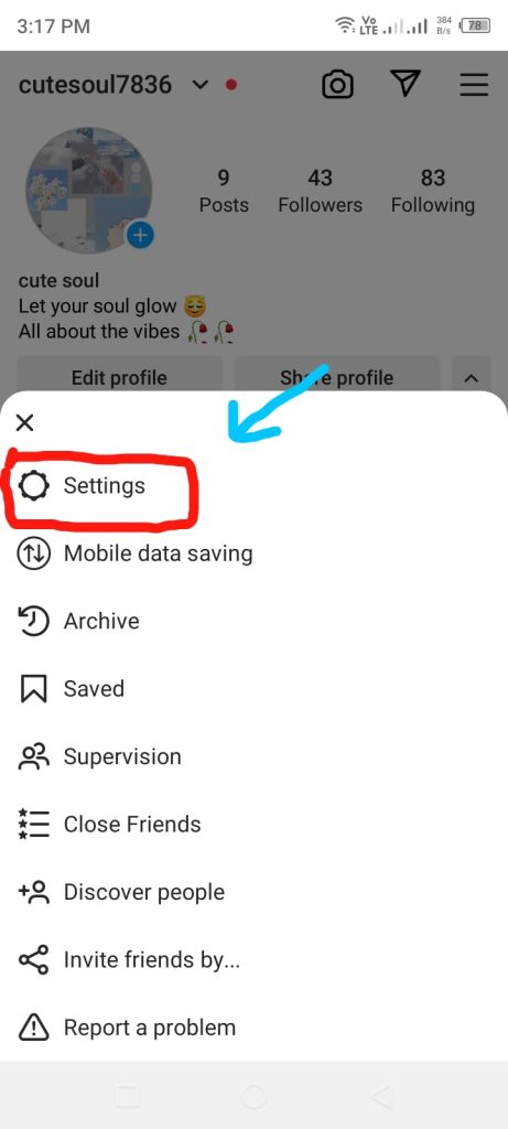 Authenticate Your Instagram Account Settings