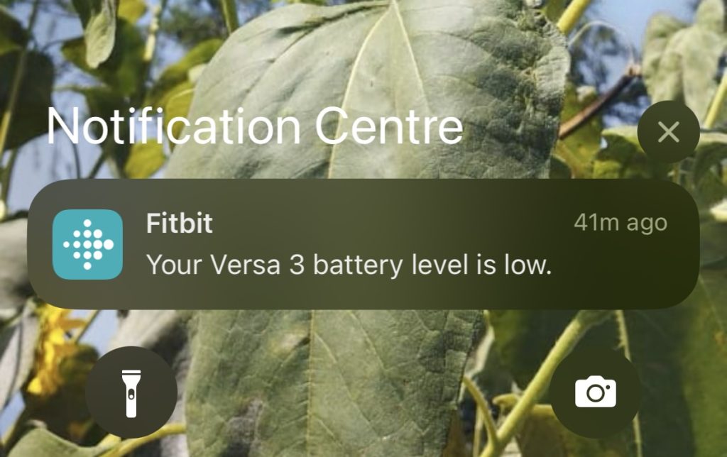 Steps To Improve Your Fitbit Battery Health